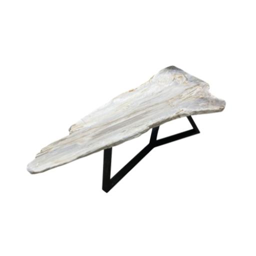 Petrified Wood Unique Angular Coffee Table